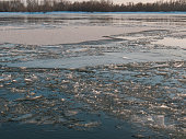 Spring ice drift on the Siberian river at sunset, pieces of ice in the water