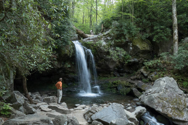 excursionista explora la cascada del parque nacional de las grandes montañas humeantes de tennessee - great smoky mountains fotografías e imágenes de stock