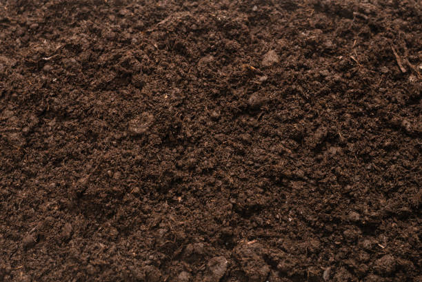 istock Black land for plant background. 1308475158