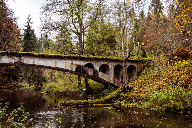 Old arch bridge in Romincka Forest (Rominter Heide) natural reserve, region. Stone bridge on river.