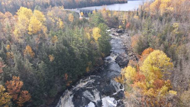 istock Waterfalls in the woods 1308476392