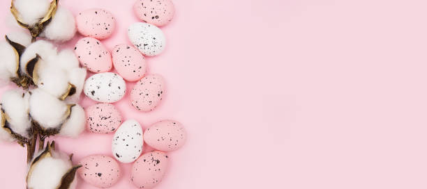 Easter background, pink quail eggs on pink background, decorated with cotton, flat lay, empty space for text. Happy Easter holiday stock photo