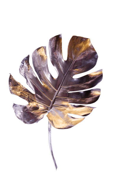 istock Monstera leaf painted in silver with gold flares isolated on white background. Minimalist luxury concept. Good for interior decoration pop-art poster. 1308490213