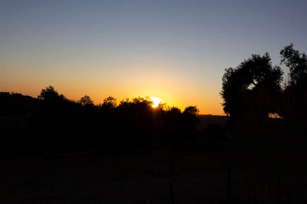 istock Backlit sunset, southern Andalusia, Spain 1308490721