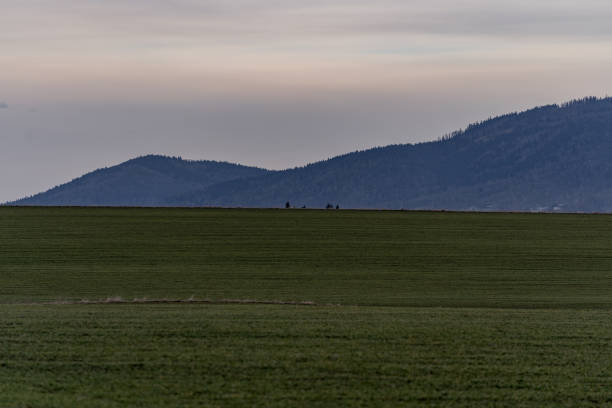 istock View of a grassy meadow with distant mountains on the horizon 1308492482