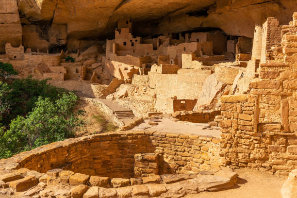 Cliff Palace, Mesa Verde national park Cliff Palace cave dwelling, Mesa Verde national park, Colorado, United States of America (USA). anasazi stock pictures, royalty-free photos & images