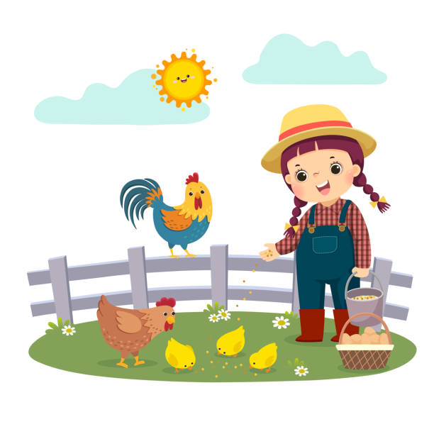 ilustrações, clipart, desenhos animados e ícones de desenho animado de ilustração vetorial de uma menina agricultora alimentando suas galinhas. - chicken baby chicken animal egg animal