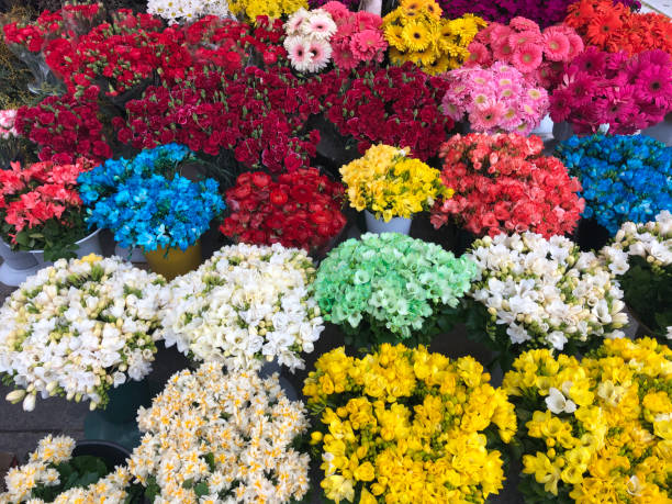 Outdoor flower market