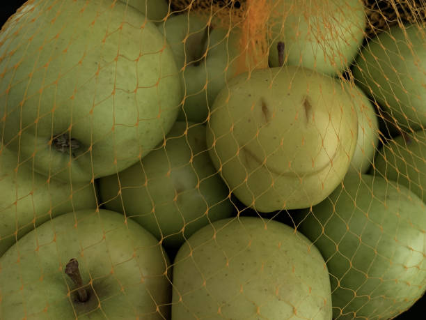 istock Green apples in a grid isolated on black. Ripe fruits in a string bag. Apples with face pattern. Concept: joy, happiness, positive. 1308496588