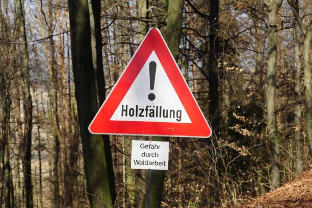 istock restricted area sign during woodcutting and logging 1308496662