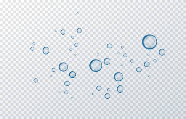 wektor niebieski krople wody. png spada, kondensacja na oknie, na powierzchni. realistyczne krople na odizolowanym przezroczystym tle. - water bubbles stock illustrations