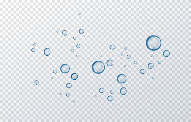 Vector blue water drops. Drops, condensation on the window, on the surface. Realistic drops on an isolated transparent background. Vector blue water drops. Drops, condensation on the window, on the surface. Realistic drops on an isolated transparent background. Vector. bubble stock illustrations
