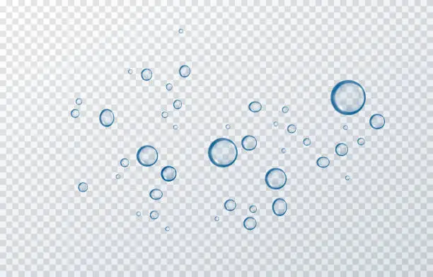 Vector illustration of Vector blue water drops. Drops, condensation on the window, on the surface. Realistic drops on an isolated transparent background.