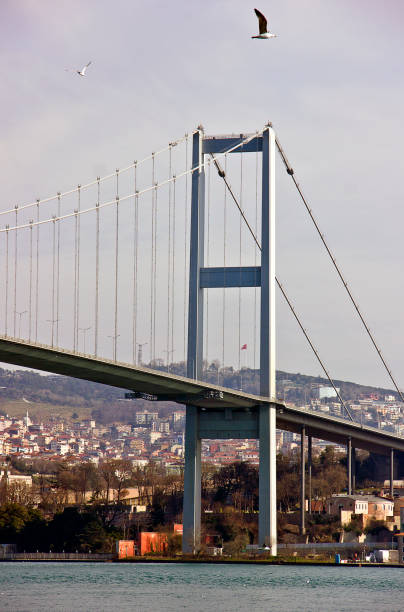 istock Ortakoy istanbul, Turkey 1308500218