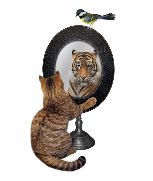 istock Cat looks in oval mirror 2 1308500335