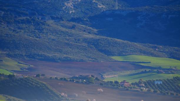 istock Green hilly land, spring fields, Andalusia, Spain. 1308501129