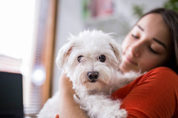 istock Young girl spends time at home with a dog 1308501525