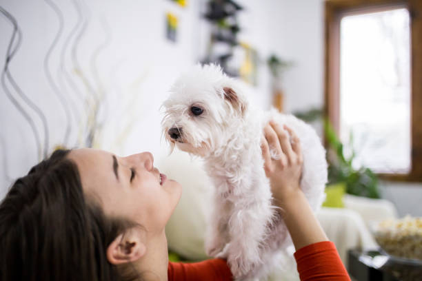 istock Young girl spends time at home with a dog 1308501682