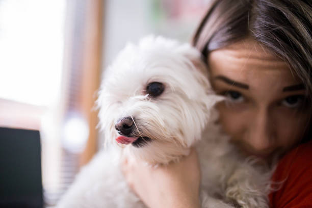 istock Young girl spends time at home with a dog 1308501727