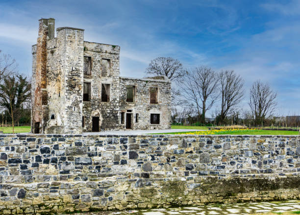 grange castle park,clondalkin dublin irlandia. - clondalkin zdjęcia i obrazy z banku zdjęć