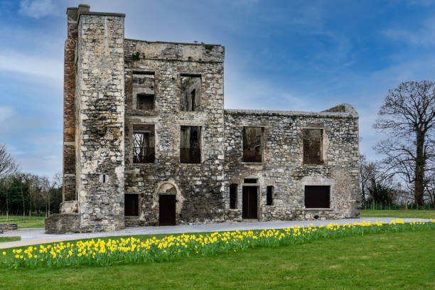 grange castle park,clondalkin dublin irlandia. - clondalkin zdjęcia i obrazy z banku zdjęć