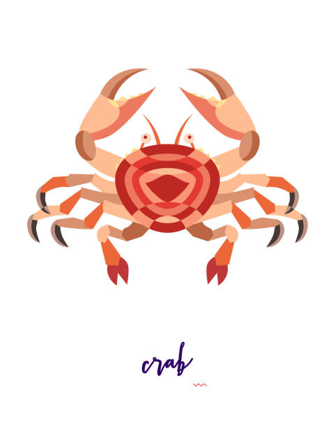 추상 물고기 그림 - computer icon symbol sea life prepared crab stock illustrations