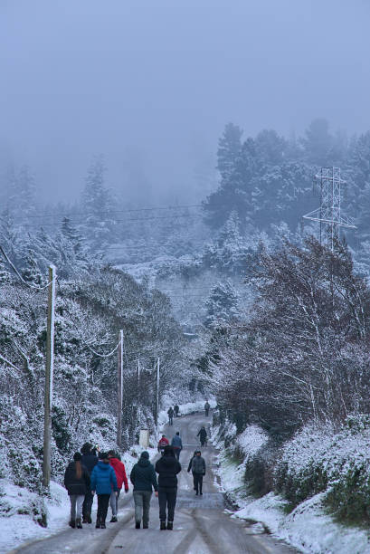People walking to Ticknock Forest National Park to see unusual Irish winter landscapes during coronavirus lockdown 2021, Co. Dublin stock photo
