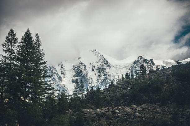 istock Forest silhouette on moraines against big glaciers on high mountains in sunlight in low clouds. Coniferous trees silhouettes on moraine on background of great snowy mountains in sunshine in cloudy sky 1308519321