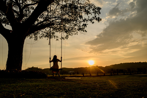 Silhouette of woman sit on a wooden swing under the tree. Lonely lady relaxing and swinging with golden ligth on sunset on summer holiday.