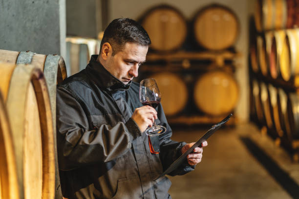 istock Adult man winemaker at winery checking glass smell quality while standing between the barrels in the cellar controlling wine making process - real people traditional and industry wine making concept 1308534280
