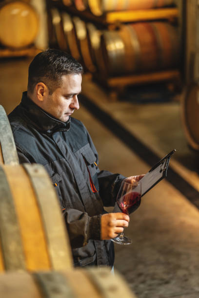istock Side view of adult man winemaker at winery checking quality while standing between the barrels in the cellar controlling wine making process - real people traditional and industry wine making concept 1308534296