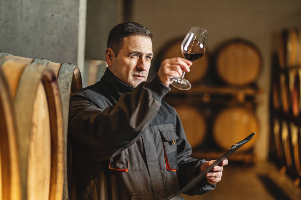 Adult man winemaker at winery checking glass looking quality while standing between the barrels in the cellar controlling wine making process - real people traditional and industry wine making concept stock photo