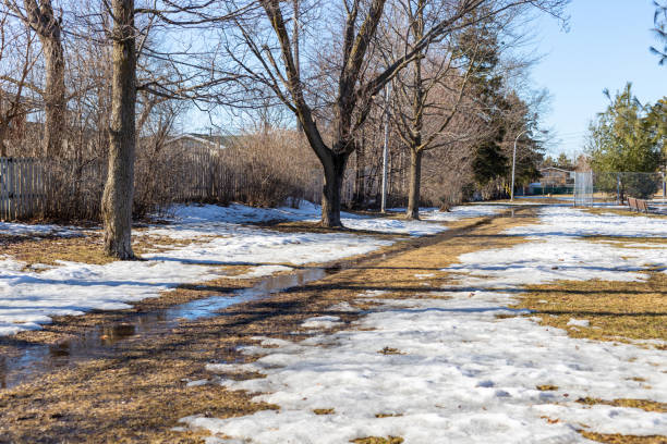 istock Spring in the park with melting snow on the ground. 1308540033