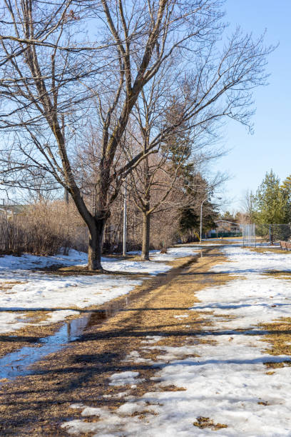 istock Spring in the park with melting snow on the ground. 1308540040