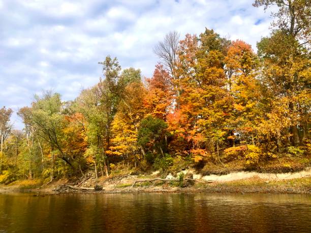 istock Autumn river scene in indiana 1308541746