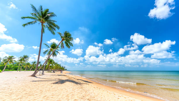 Tropical beach on a sunny day
