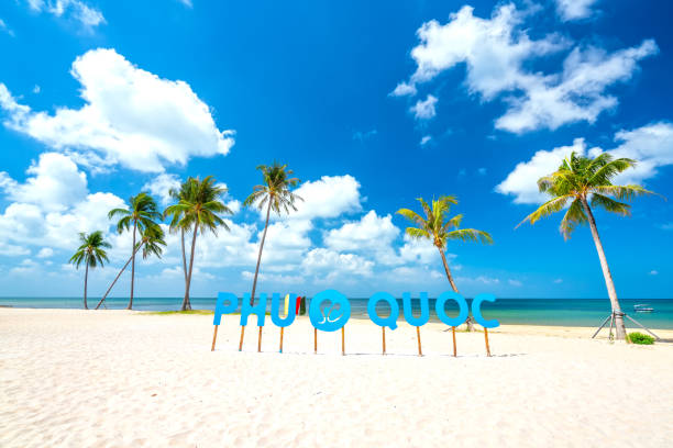 Tropical beach on a sunny day