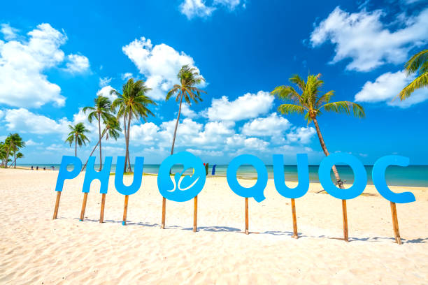 istock Tropical beach on a sunny day 1308544720