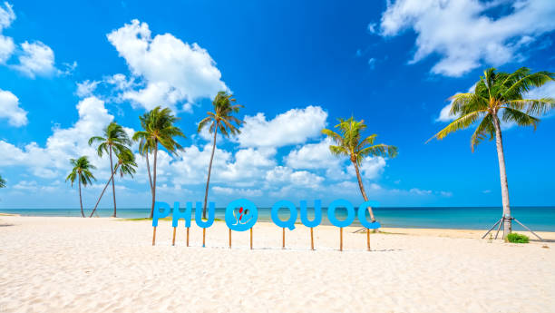 istock Tropical beach on a sunny day 1308544724