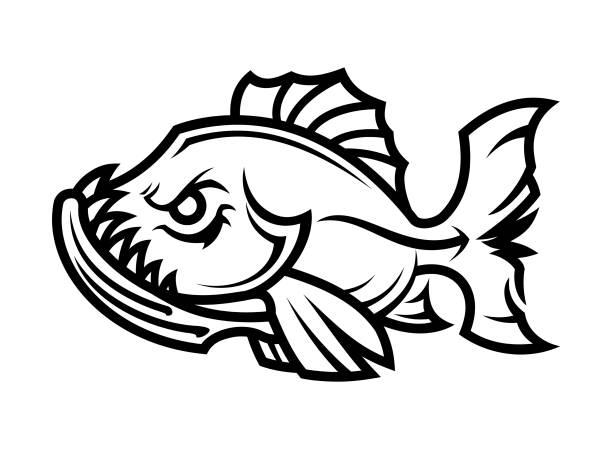 illustrazioni stock, clip art, cartoni animati e icone di tendenza di contorno pesce arrabbiato silhouette - fish cartoon bass mounted