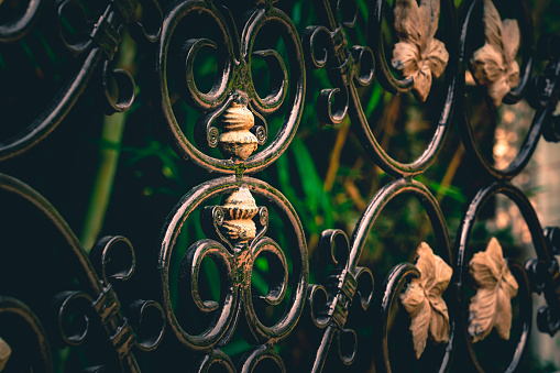 A beautiful forged fence, a metal element close-up
