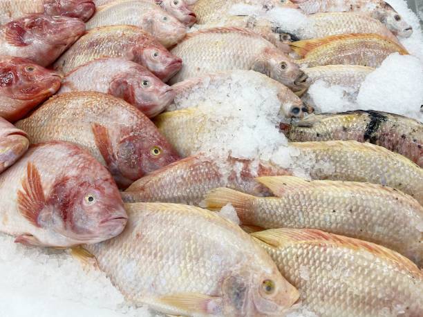 istock fresh fish in food market 1308545691
