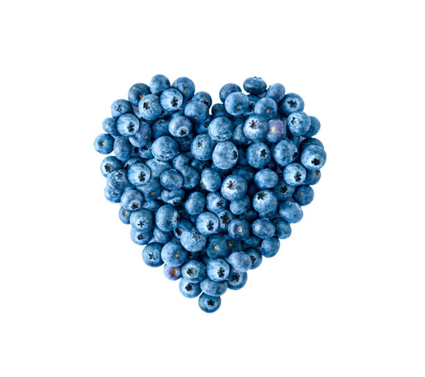 Blueberry heart shape symbol concept isolated for healthy eating and lifestyle