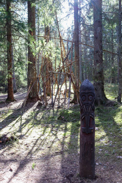 istock Hut in progress, Tyresta national park 1308550235
