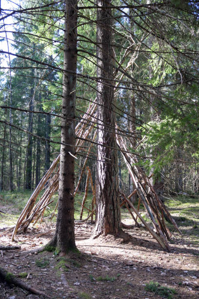 istock Hut in progress, Tyresta national park 1308550264