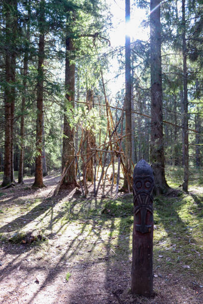 istock Hut in progress, Tyresta national park 1308550273