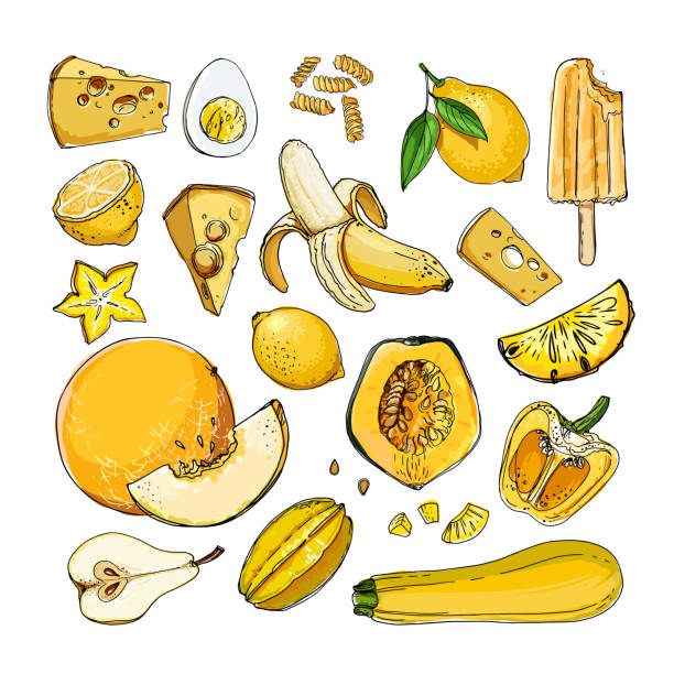 Yellow. Vector food. Colored vegetables and fruits on a white background. Pumpkin, banana, zucchini, pumpkin, paprika, ice cream, lemon, cheese, egg Yellow. Vector food. Colored vegetables and fruits on a white background. Pumpkin, banana, zucchini, pumpkin, paprika, ice cream, lemon, cheese, egg banana drawings stock illustrations
