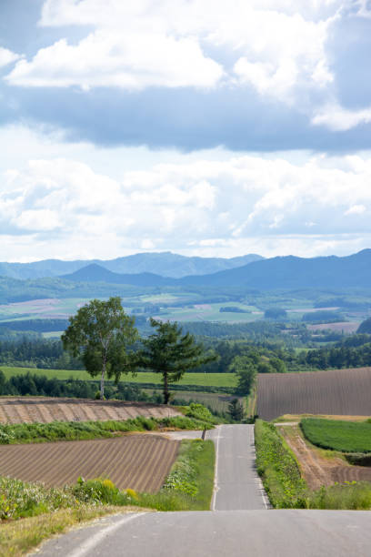 istock Road through the green hills 1308560620