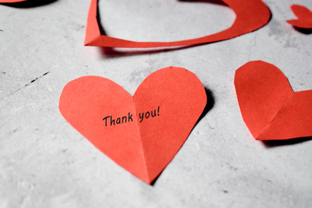 istock Red paper hearts with a thank you text on a gray backround 1308561666