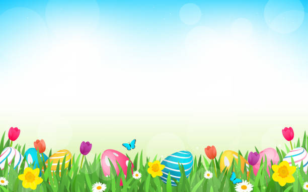 schöne ostern hintergrund vektor-illustration. ostereier, tulpen, gänseblümchen und narzissenblüten auf frühlingswiesen hintergrund mit kopierraum - daffodil spring backgrounds sky stock-grafiken, -clipart, -cartoons und -symbole